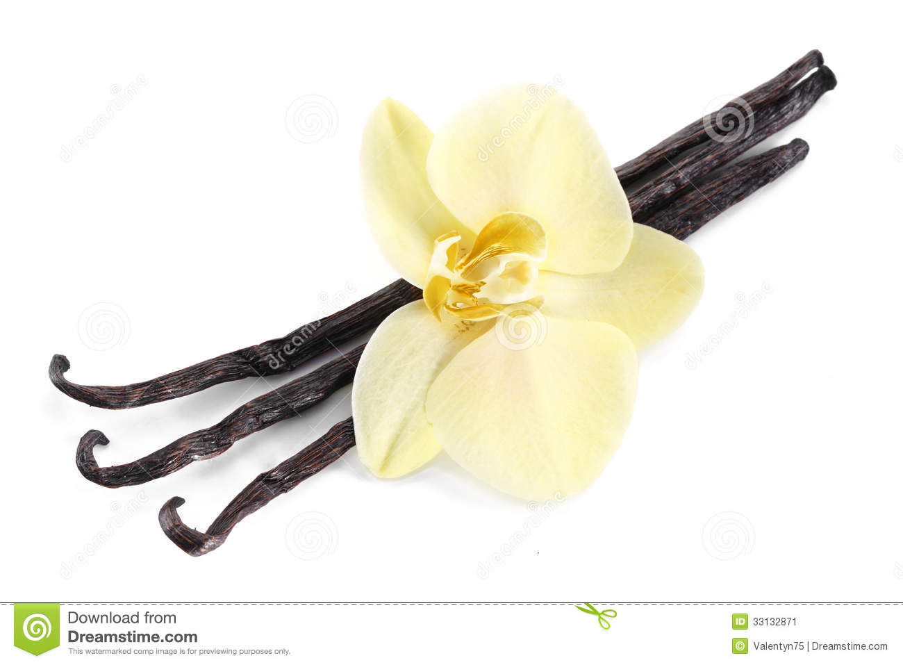 Vanilla Sticks With A Flower  Stock Image   Image  33132871
