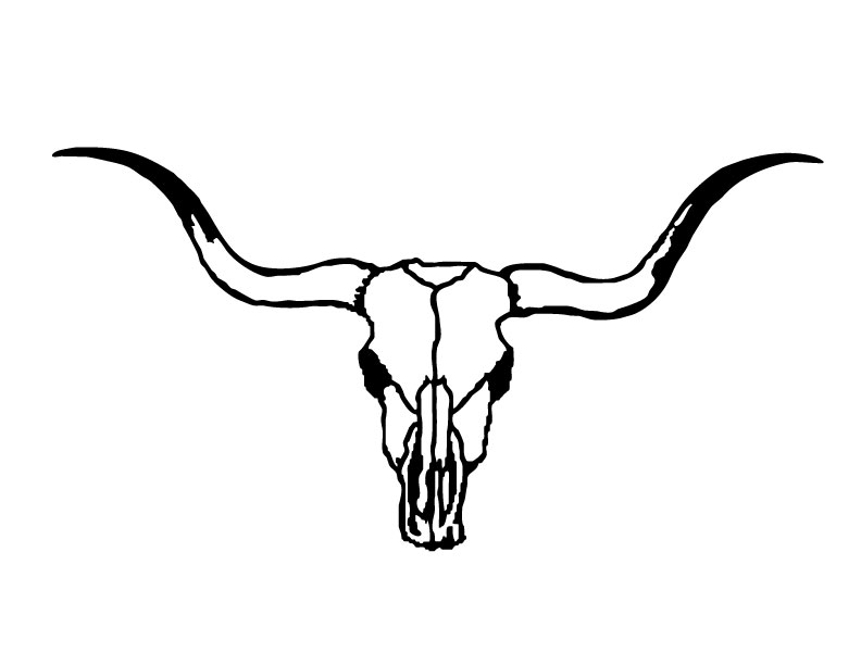 Longhorn Skull Drawing   Clipart Best