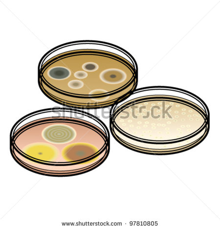 Mold Clipart Three Petri Dishes With Mould