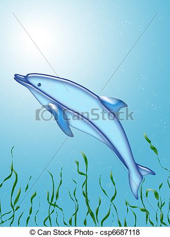 Of Dolphin Swim Under Water With Algae Csp6687118   Search Eps Clip
