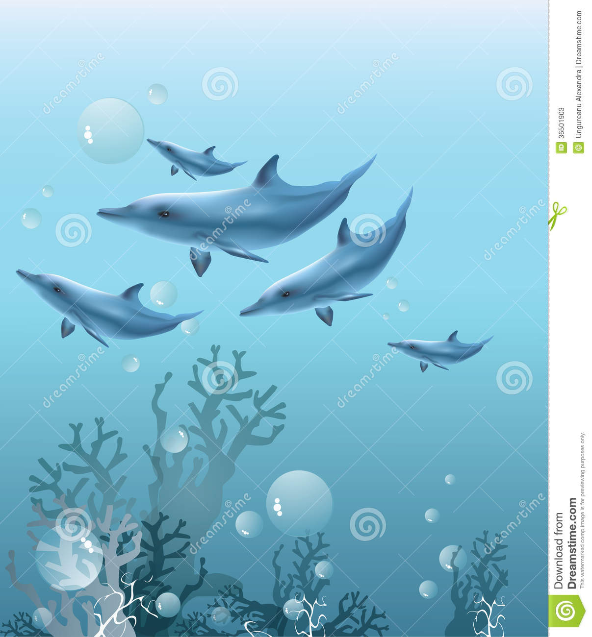 With Corals And Dolphins Swimming Underwater  Clip Art Illustration