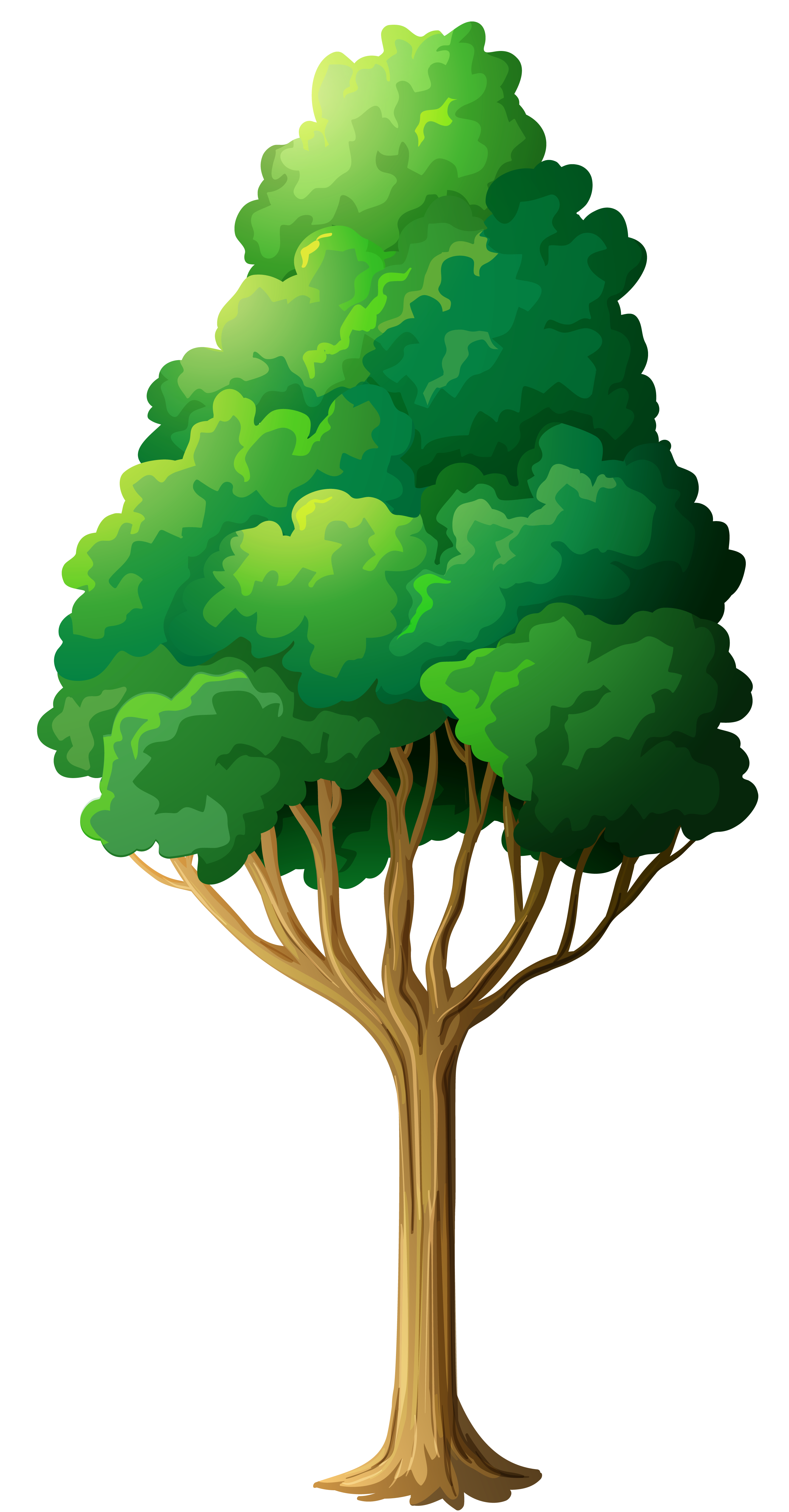 23 Tree Png Free Cliparts That You Can Download To You Computer And