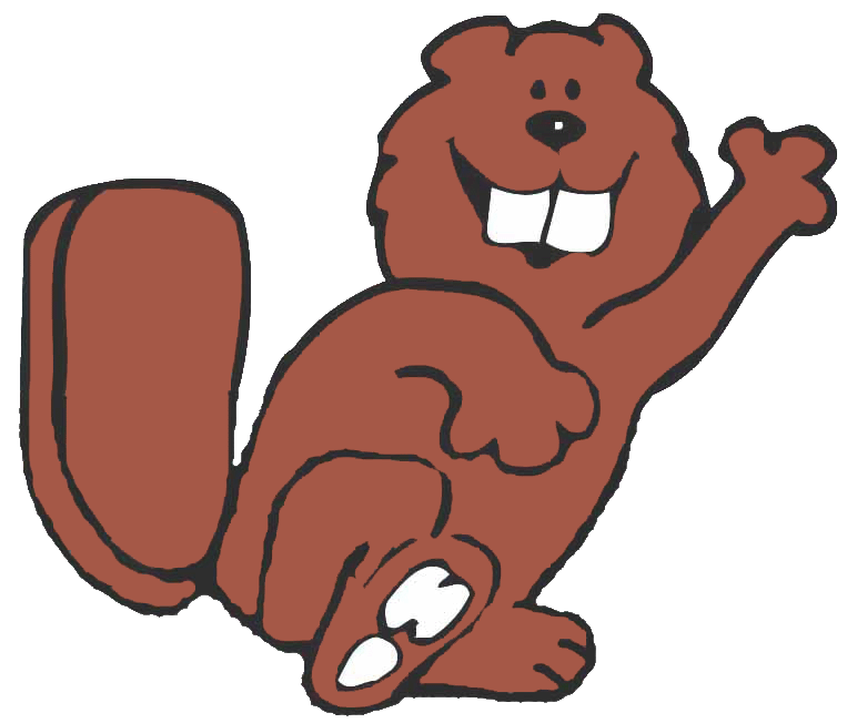 Beavers Cartoon Cartoon Beaver
