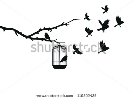 Bird Cages Shutterstock  Eps Vector   Bird Cages   Id  110502425
