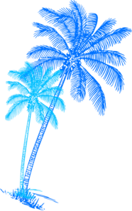 Blue Palm Tree Pair Clip Art At Clker Com   Vector Clip Art Online