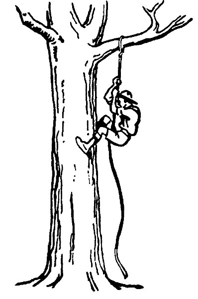 Climb Tree Clipart Climb Clipart Monkey Climb Up A Tree Cartoon