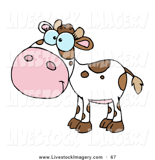 Clip Art Of A Smiling Cute White And Brown Baby Cow By Hit Toon    67