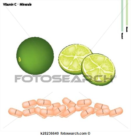 Clipart   Gr N Limetten Mit Vitamin C Und Mineralien  Fotosearch    