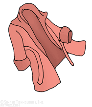 Clothing Clip Art