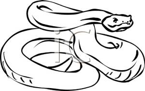 Outline Of An Angry Snake   Royalty Free Clipart Picture
