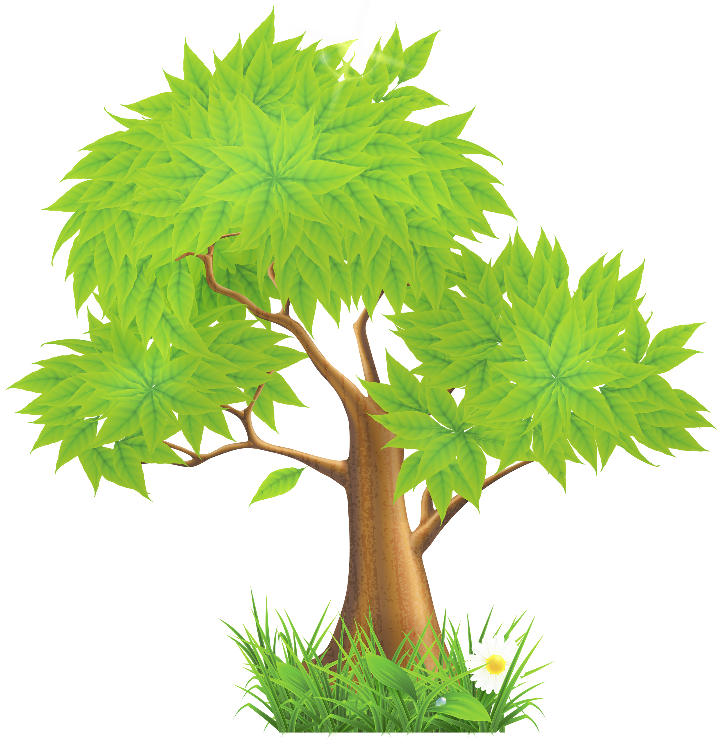 Pine Tree Clipart Png   Clipart Panda   Free Clipart Images
