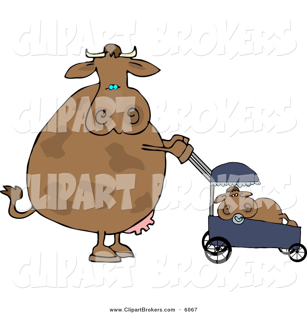 Related Video With Clip Art Of A Mother Cow Pushing Her Brown Calf In    