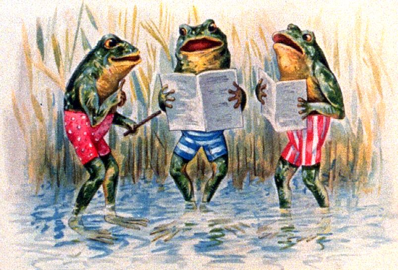 Singing Frogs  117k   Found On Usenet In Alt Binaries Clip Art 