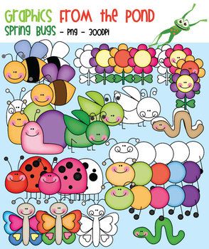 Spring Bugs   Clipart For Teaching And Teachers 