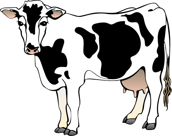 Standing Cow Clip Art At Clker Com   Vector Clip Art Online Royalty