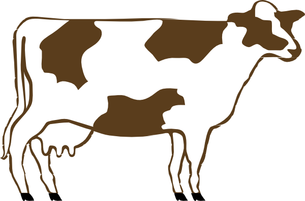White And Brown Cow Clip Art At Clker Com   Vector Clip Art Online    