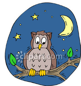 Cartoon Owl In A Tree At Night   Royalty Free Clipart Picture