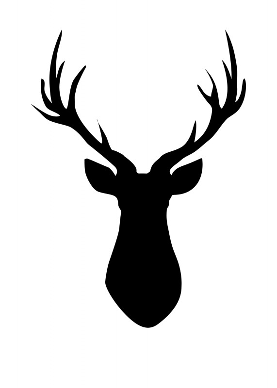 Deer Head Pallet