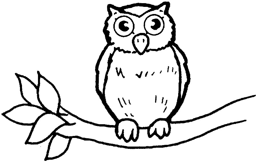 Night Owl Clip Art   Clipart Best