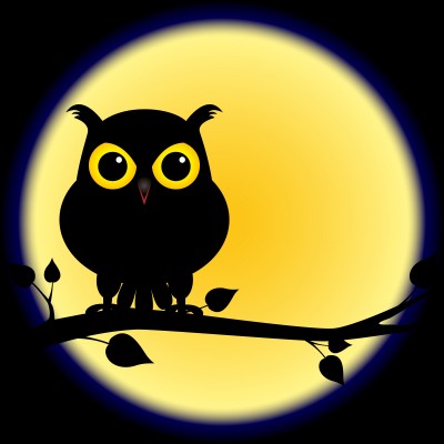 Night Owl Clip Art