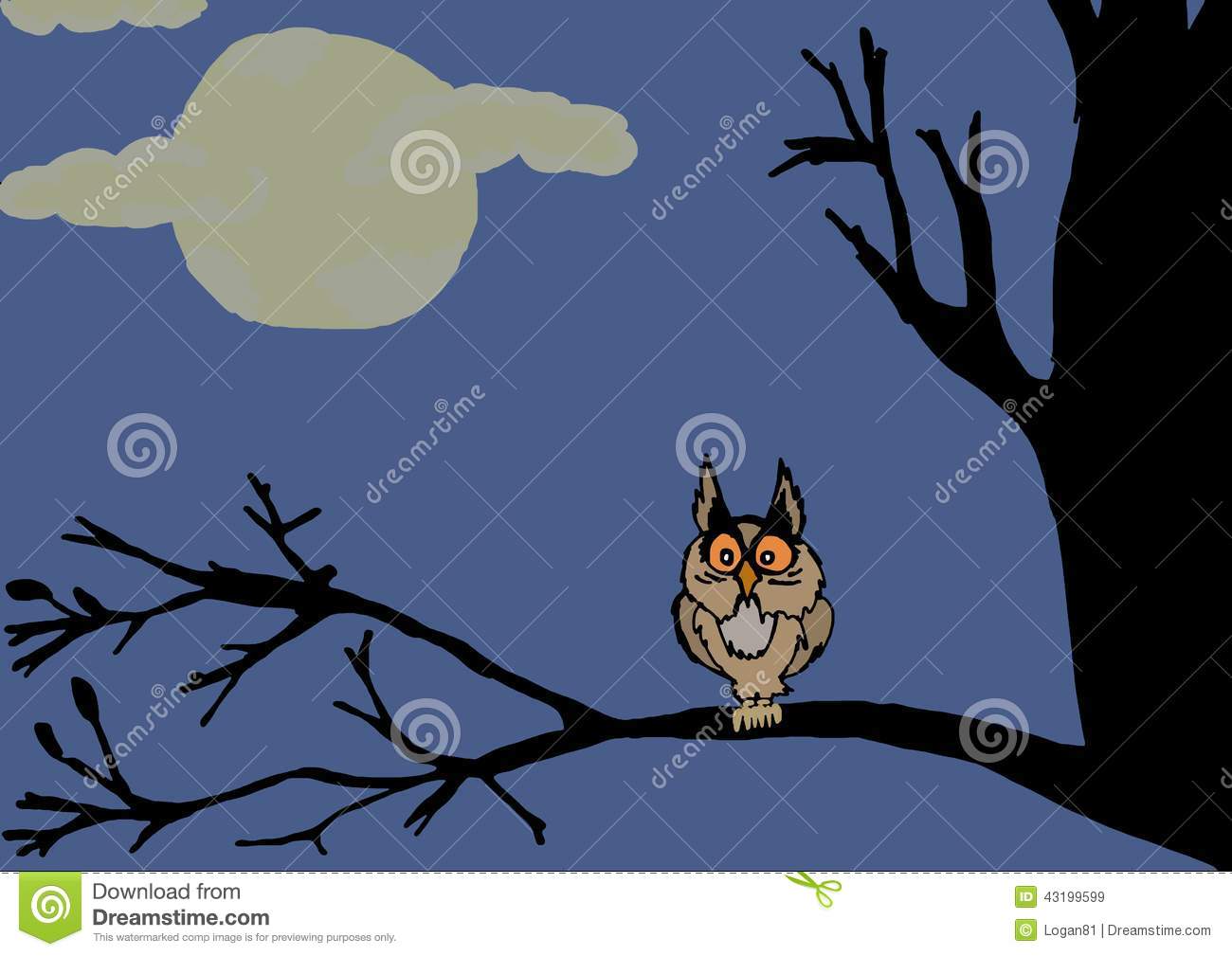 Night Owl Stock Illustration   Image  43199599