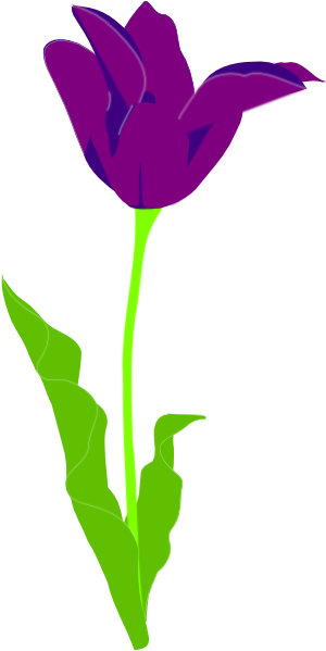 Open Purple Tulip Clip Art At Clker Com   Vector Clip Art Online    