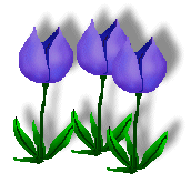 Purple Tulip Clipart Tulip Clipart Purple