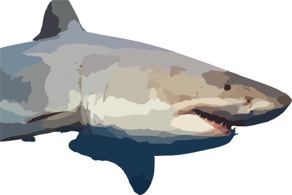 Shark Clip Art At Clker Com   Vector Clip Art Online Royalty Free    
