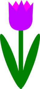Totetude Purple Tulip Clip Art At Clker Com   Vector Clip Art Online    