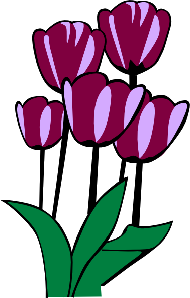 Tulips Clip Art At Clker Com   Vector Clip Art Online Royalty Free    