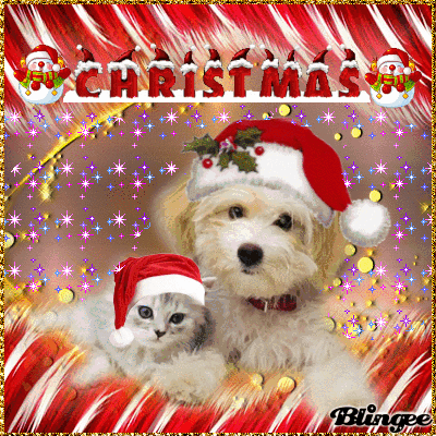 Christmas Cuties Cat And Dog