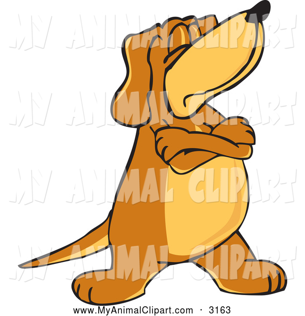 Dog Cartoon Http   Myanimalclipart Com Design Clip Art Of A Mad
