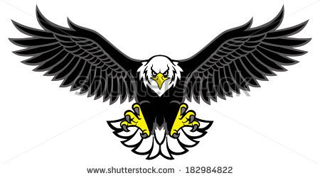 Eagle Stock Photos Images   Pictures   Shutterstock