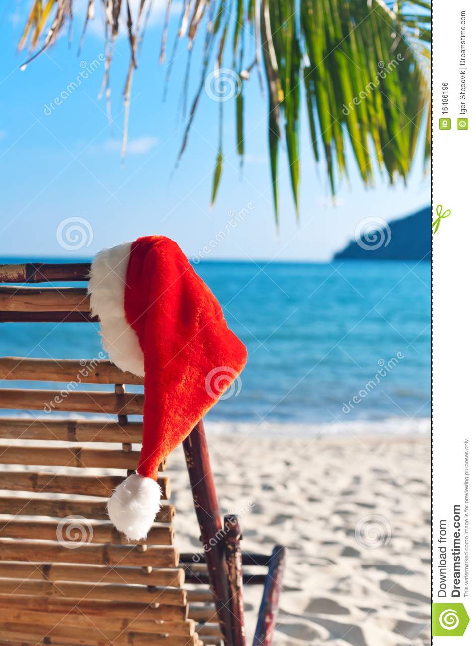 On Beach Chair Under Palm Tree  Christmas In Tropical Climate Concept