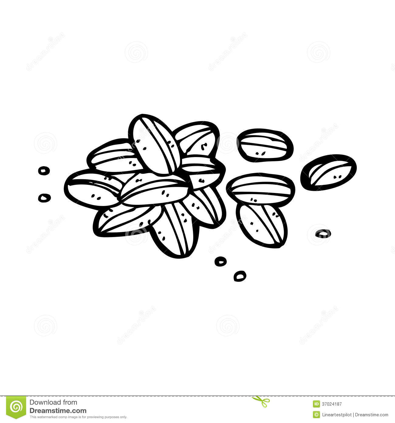 Green Beans Clipart Black And White