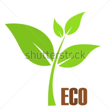 Inicio   Premium Naturaleza Planta Joven Verde S Mbolo De Eco