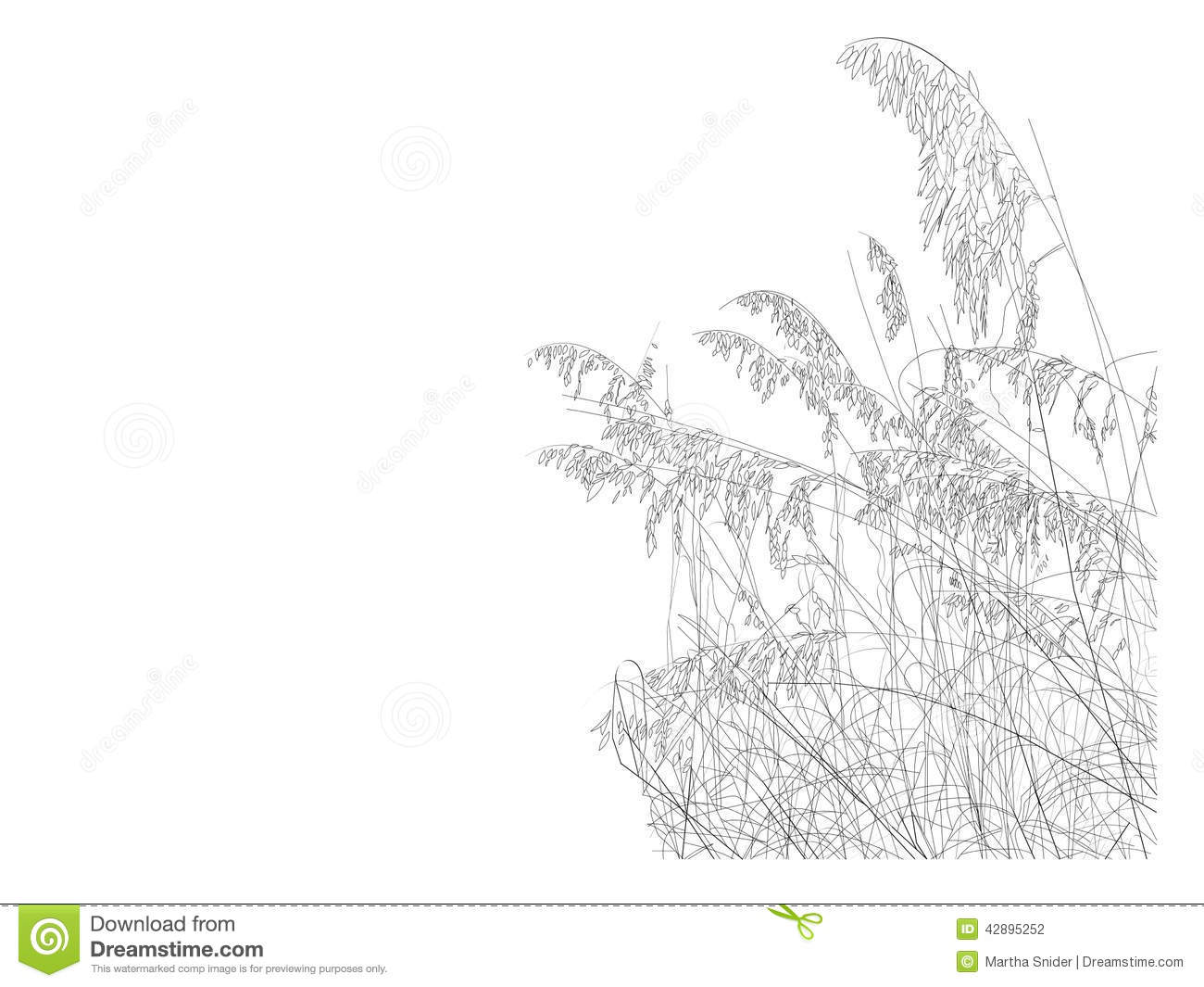 Line Drawing Of Sea Oats On The Beach Mr No Pr No 2 254 1