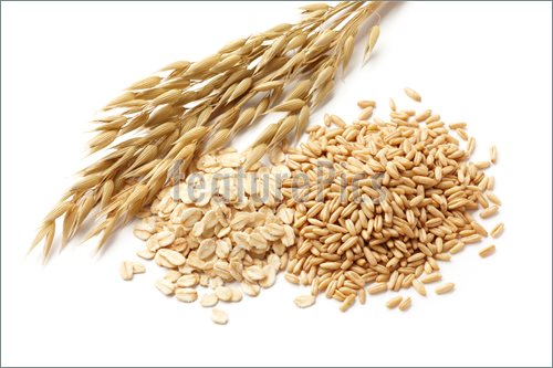 Picture Of Oats  Avena  With Its Processed And Unprocessed Grains
