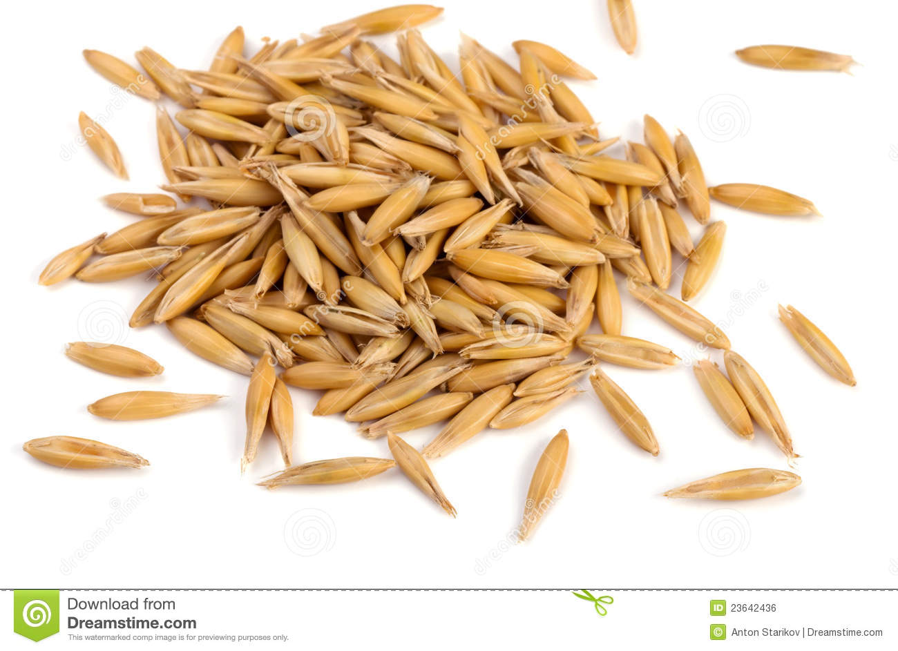Pile Of Dried Oat Grains On White Mr No Pr No 4 1403 11
