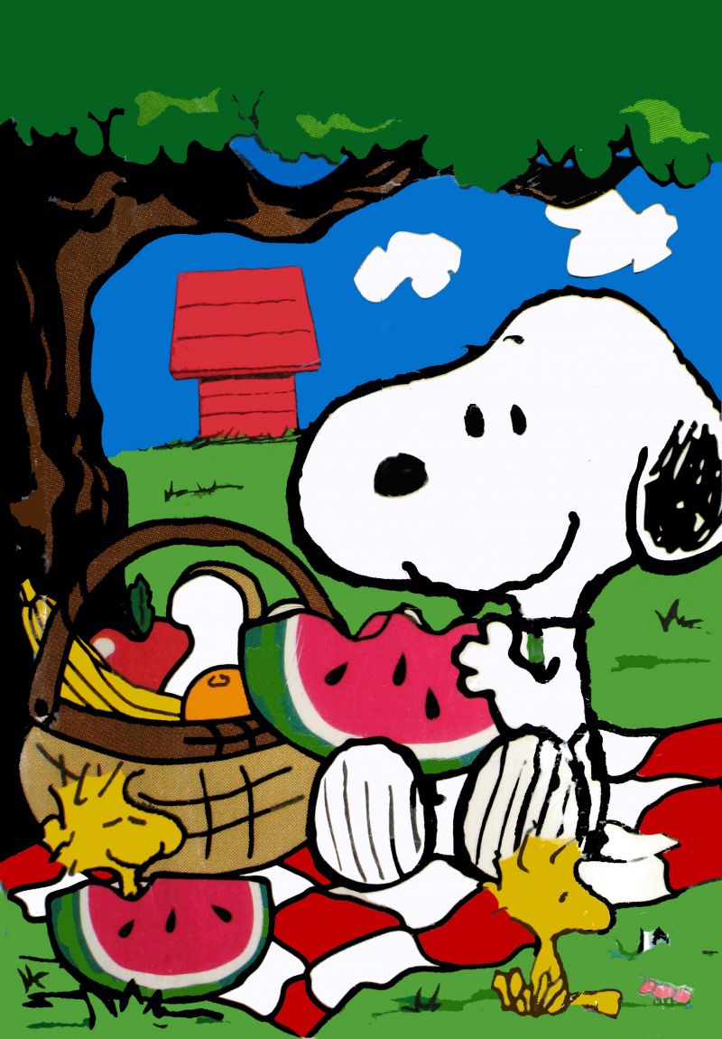 Snoopy Summer Images   Viewing Gallery