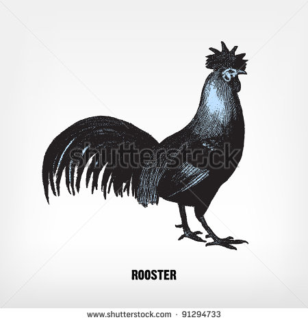 Vintage Rooster Clip Art