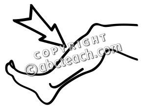 Clip Art  Basic Words  Shin B W Unlabeled   Preview 1