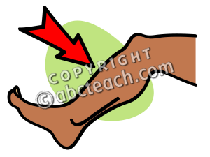 Clip Art  Basic Words  Shin Color Unlabeled   Preview 1