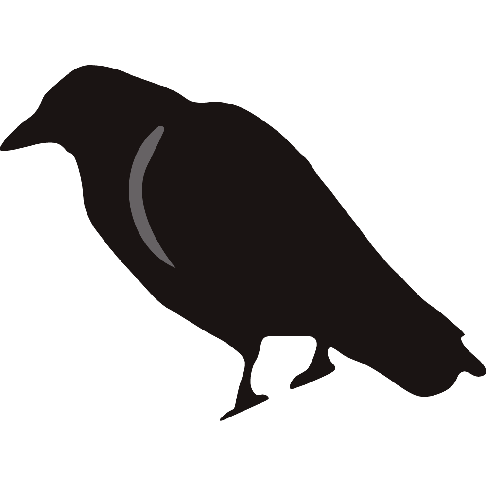 Crow2