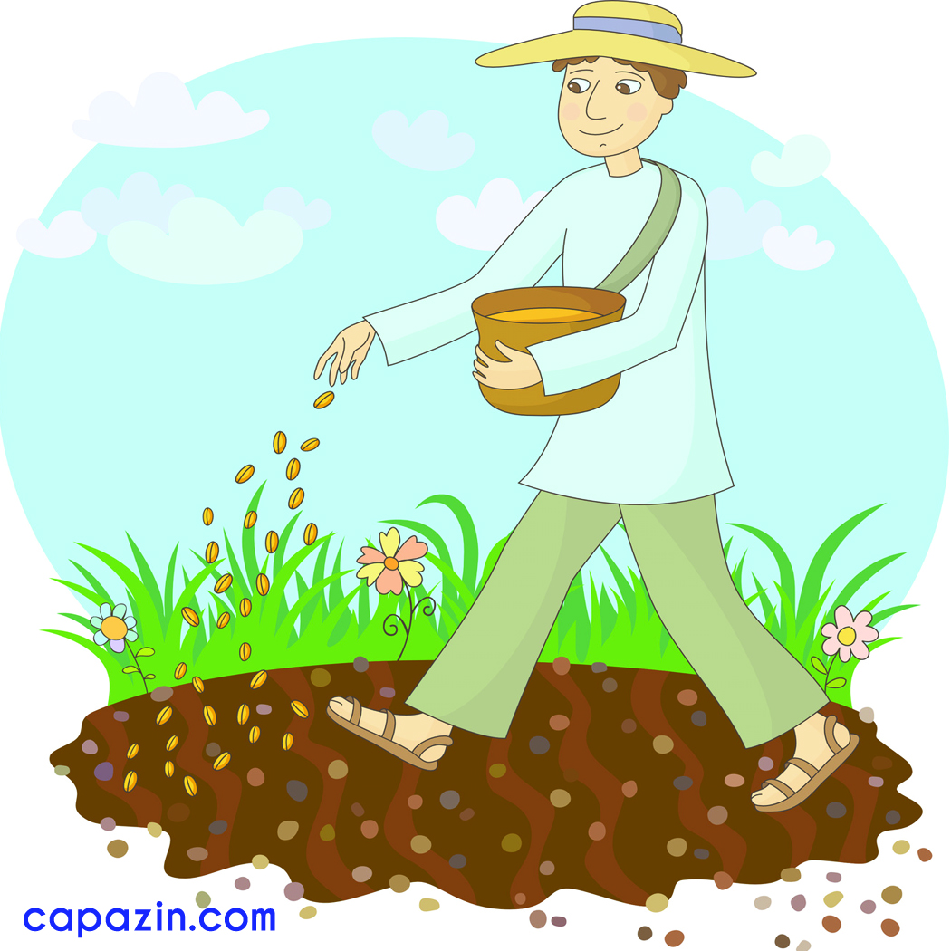Gallery For   The Mustard Seed Parable Of Jesus Disciples Clipart