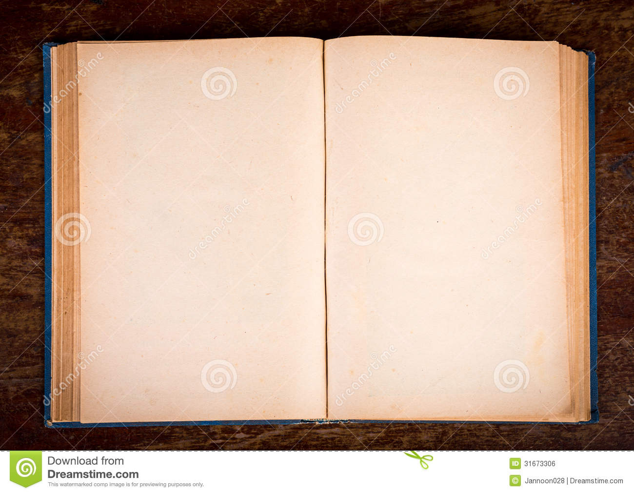 Open Old Vintage Book Royalty Free Stock Image   Image  31673306