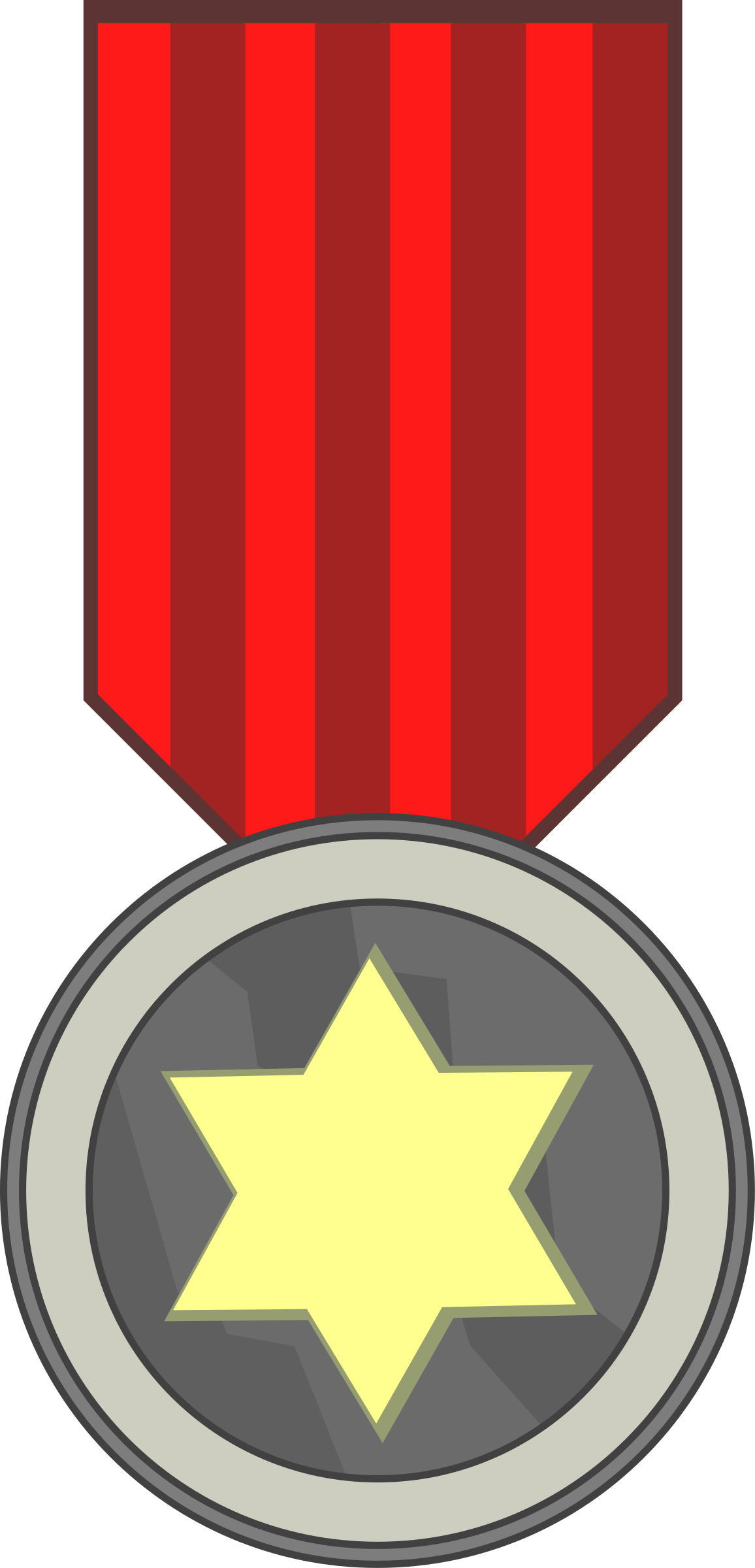 Star Award Medal