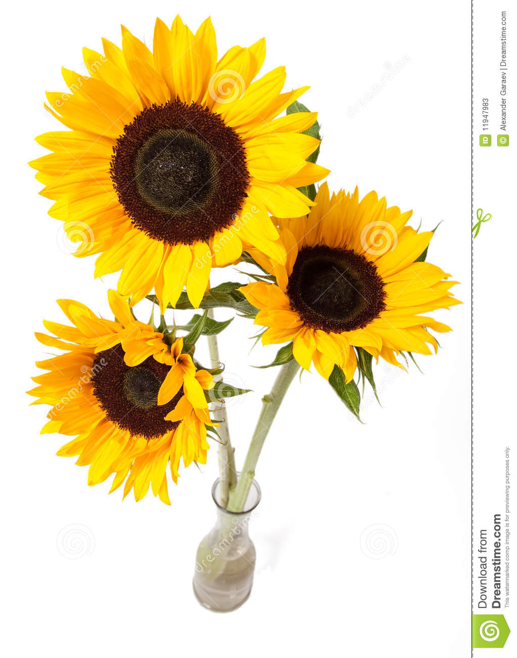 Sunflower Bouquet Clip Art Sunflowers Bouquet