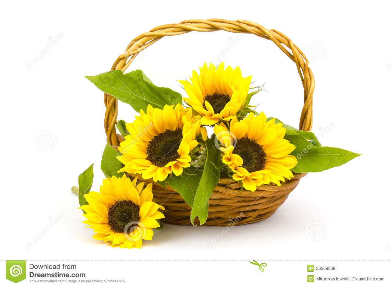 Sunflower Bouquet In A Basket