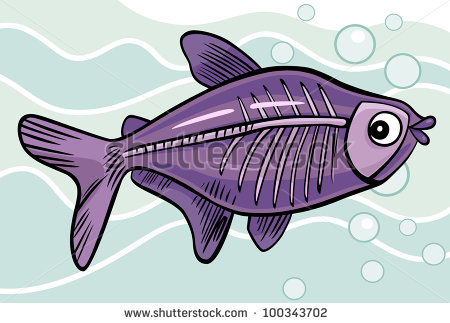 Xray Fish Clipart X Ray Fish   Stock Photo